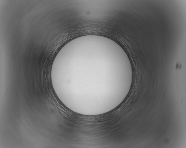 X0000113210336200909100953