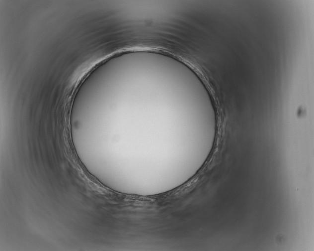 X0000113210337200909100952