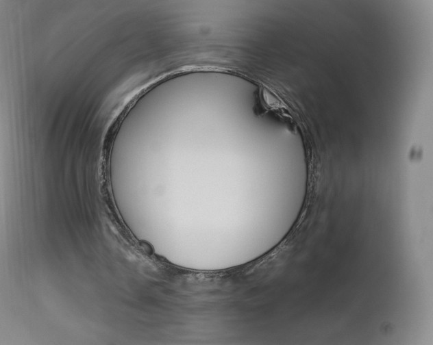 X0000113210338200909100952