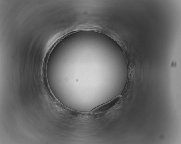 X0000113210340200909100952