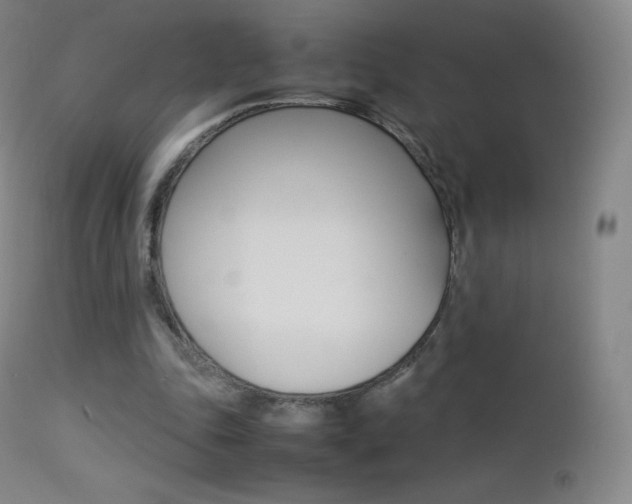 X0000113210343200909100952