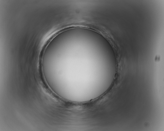 X0000113210344200909100952