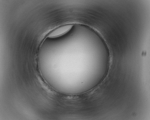 X0000113210345200909100952