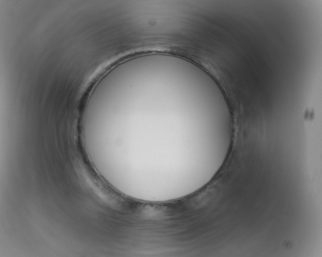 X0000113210346200909100952