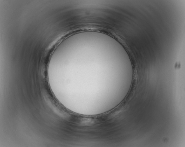X0000113210347200909100952