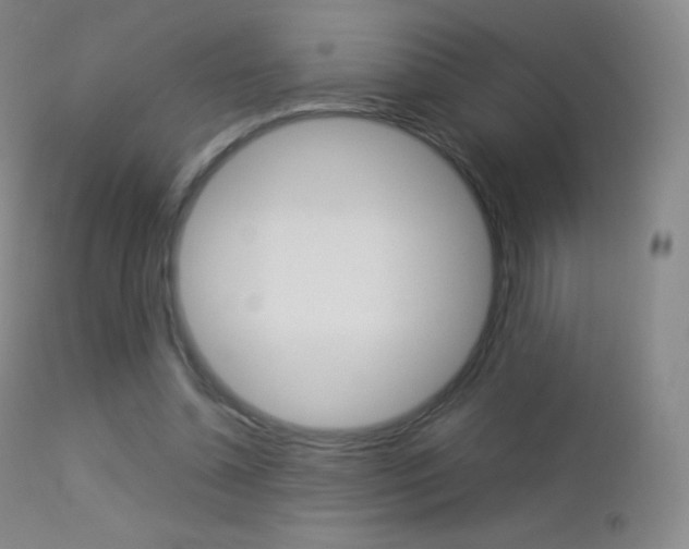 X0000113210348200909100952