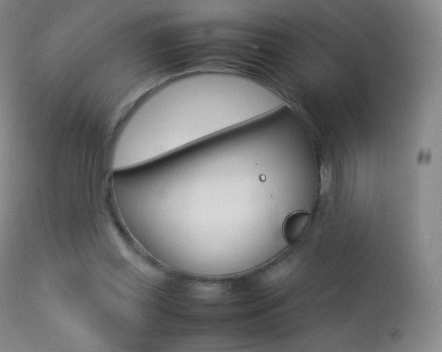 X0000113210349200909100952