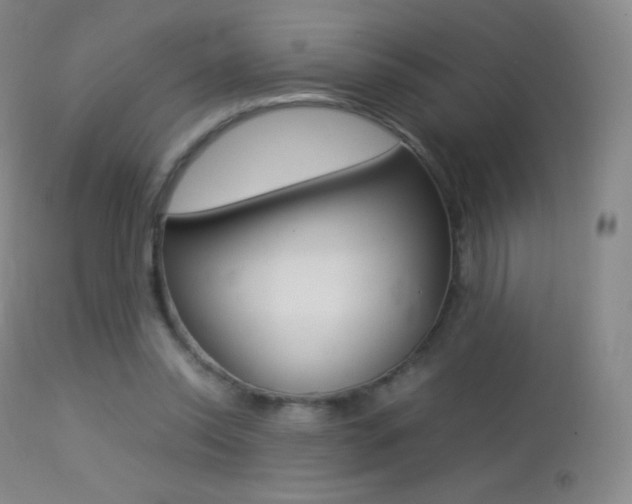 X0000113210350200909100952