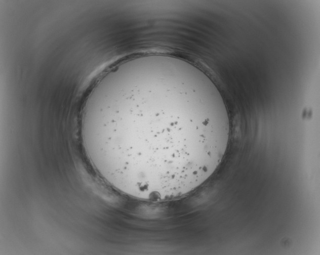 X0000113210351200909100952
