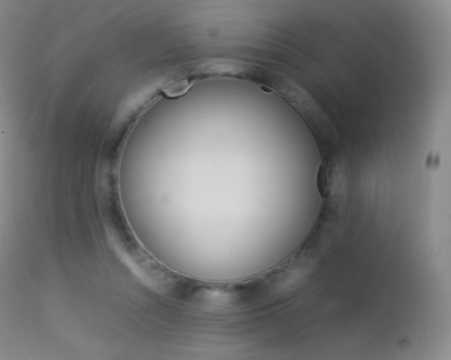 X0000113210352200909100952