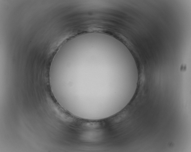 X0000113210353200909100952