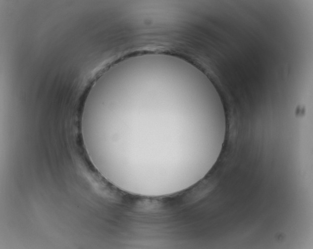 X0000113210354200909100952