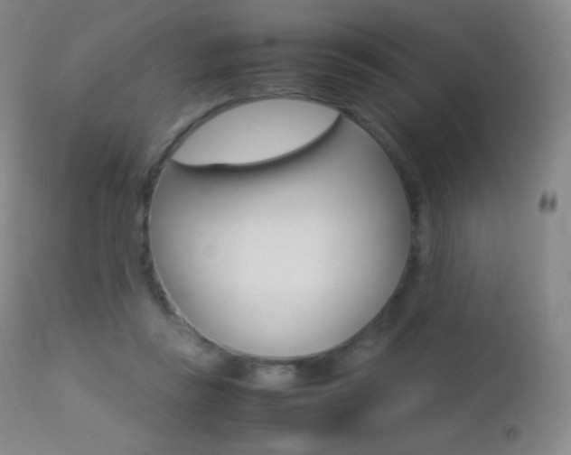 X0000113210355200909100952