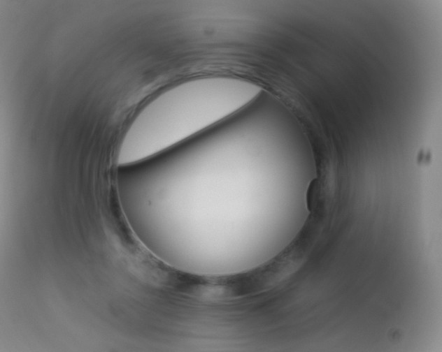 X0000113210356200909100952