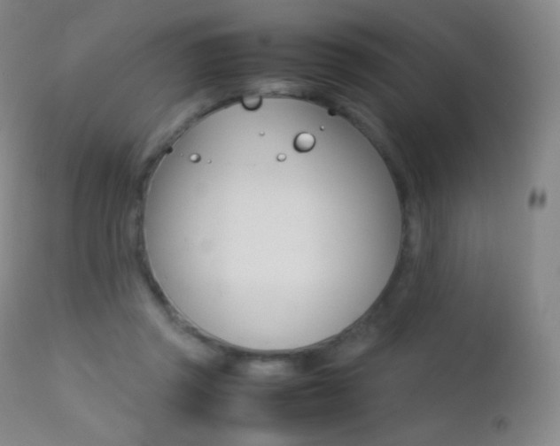 X0000113210357200909100952