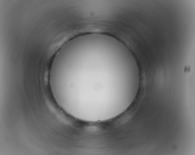 X0000113210358200909100952