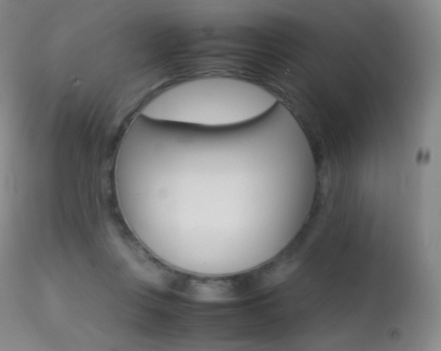 X0000113210359200909100952