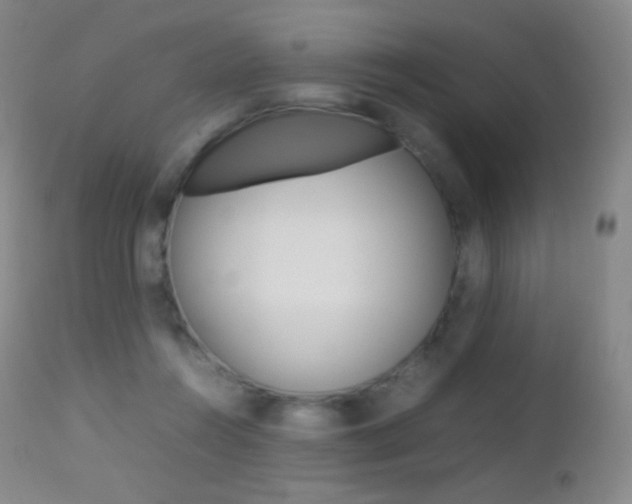 X0000113210360200909100952