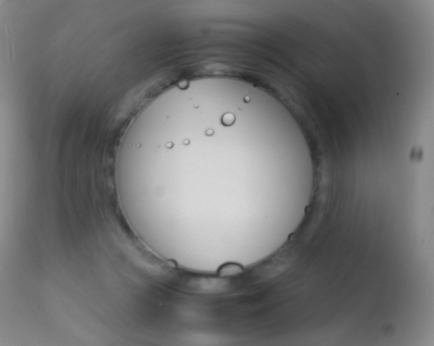 X0000113210361200909100952