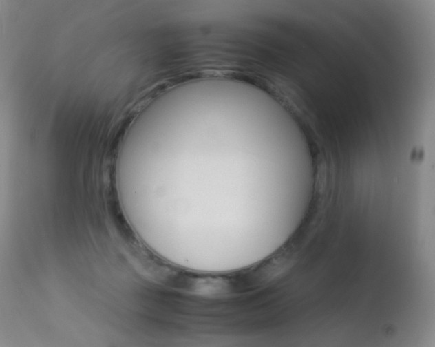 X0000113210363200909100953