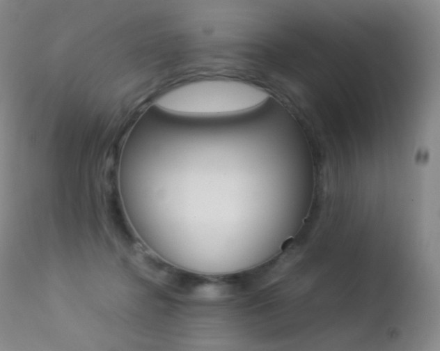 X0000113210364200909100953