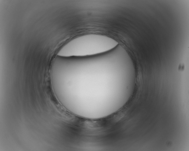 X0000113210367200909100953