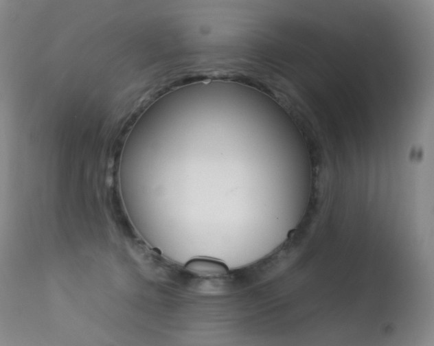 X0000113210368200909100953