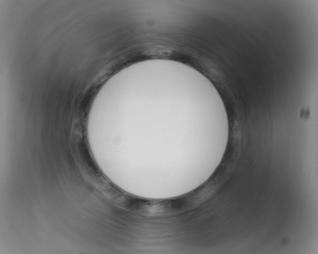 X0000113210370200909100953