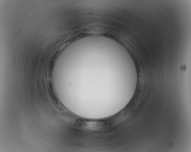 X0000113210371200909100953