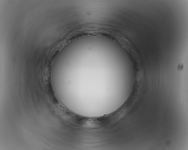 X0000113210372200909100953