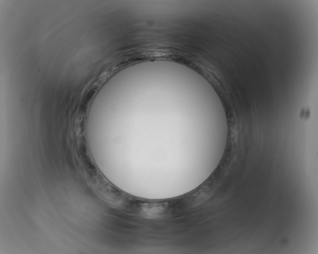 X0000113210373200909100953
