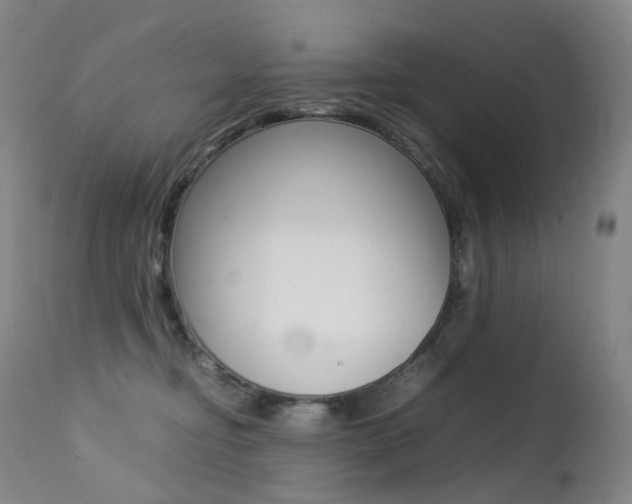 X0000113210374200909100953