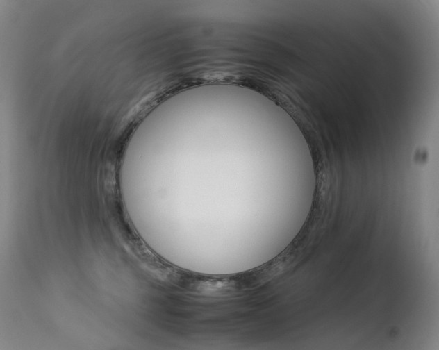 X0000113210375200909100953