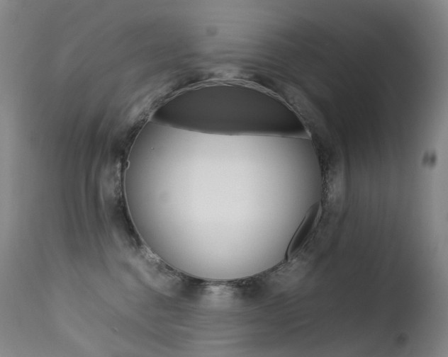 X0000113210376200909100953