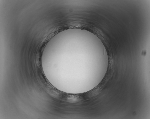 X0000113210377200909100953