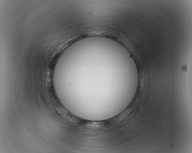 X0000113210378200909100953