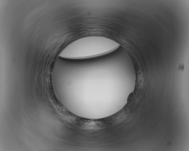 X0000113210379200909100953