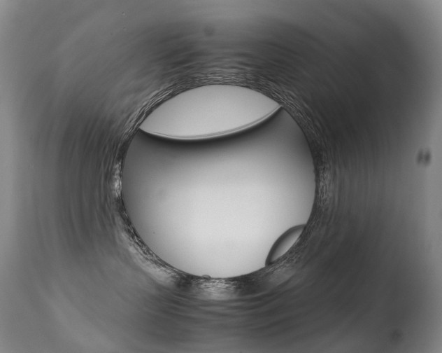 X0000113210383200909100953