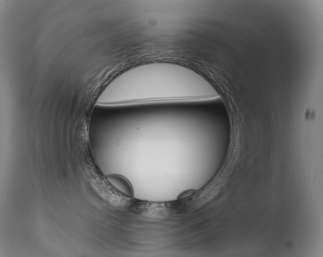 X0000113210384200909100953