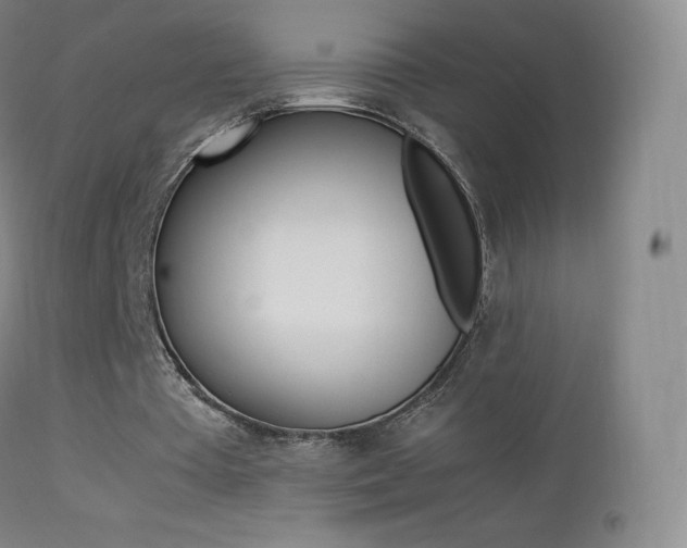 X0000113210385200909100952
