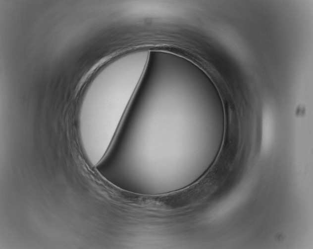 X0000113210387200909100952