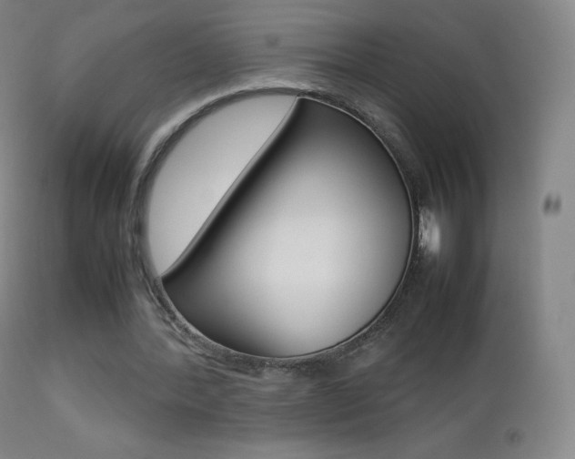 X0000113210388200909100952