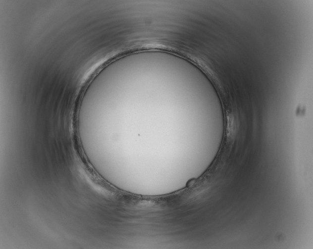 X0000113210390200909100952
