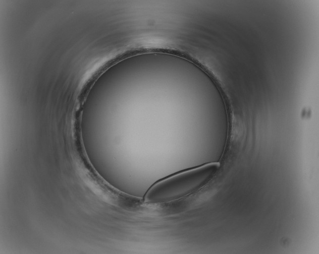 X0000113210391200909100952