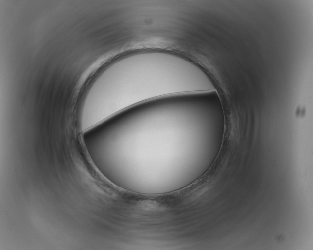 X0000113210392200909100952