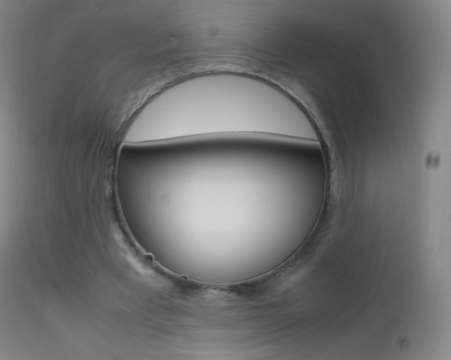 X0000113210393200909100952