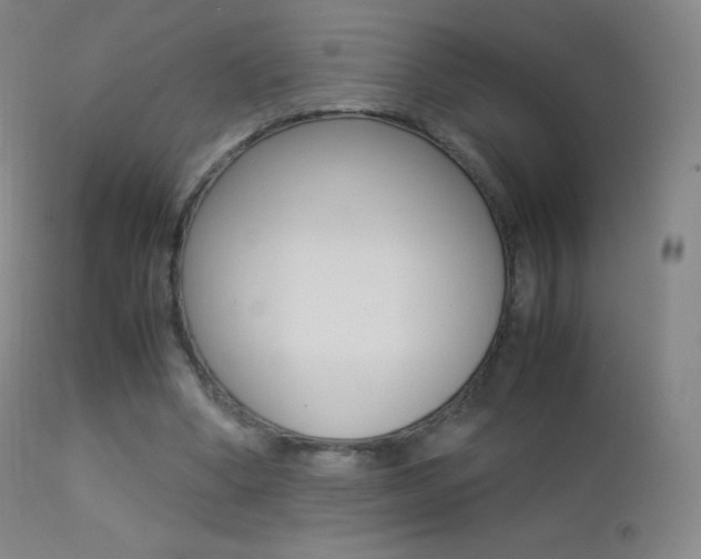 X0000113210394200909100952
