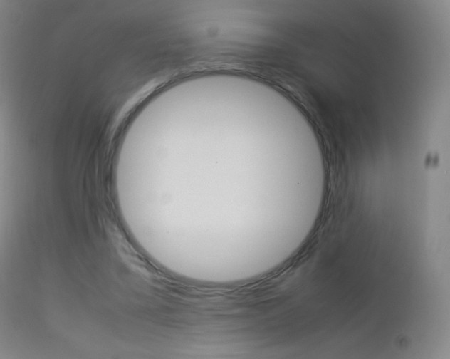 X0000113210395200909100952
