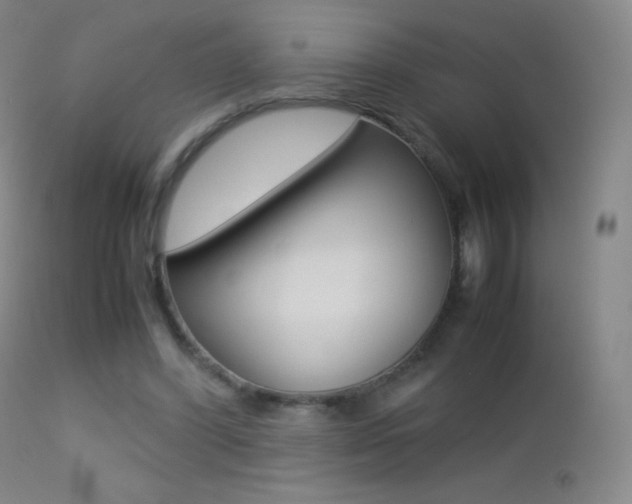 X0000113210396200909100952