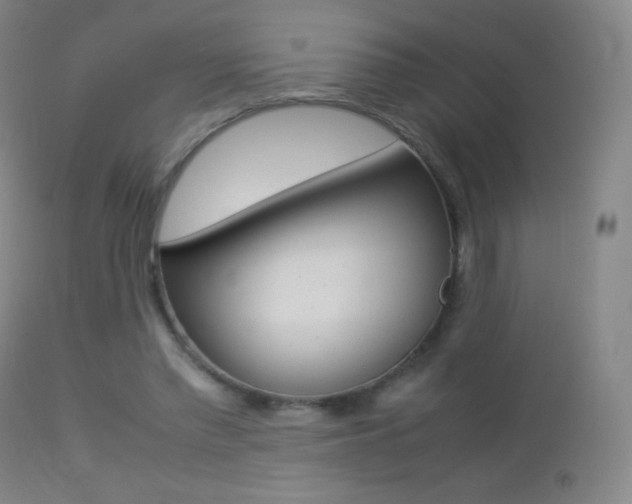 X0000113210397200909100952